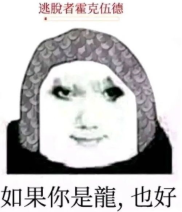大胆龙图表情包,网络狂欢中的大胆演绎与情感释放
