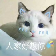 逗人开心又撩人的图片