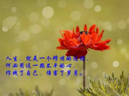 适合发朋友圈的人生感悟句子,朋友圈里的生活感悟精选